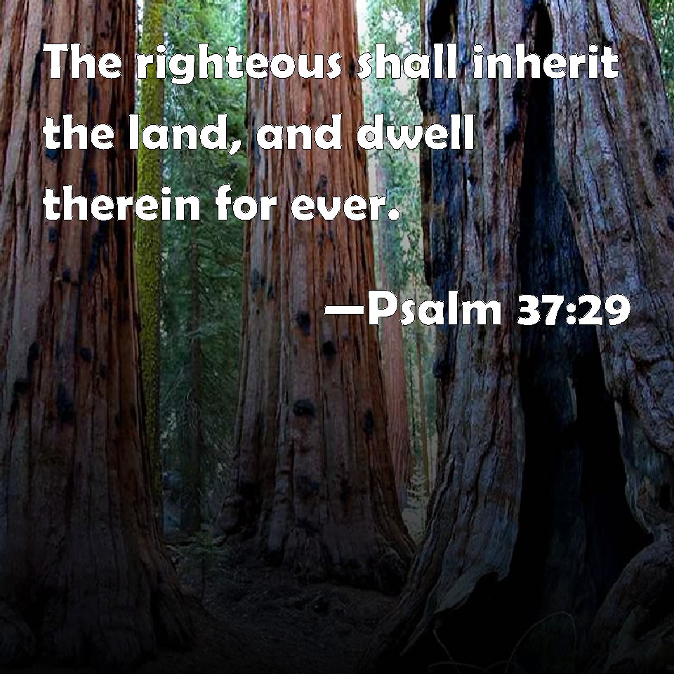 Psalm 3729 The righteous shall inherit the land, and dwell therein for