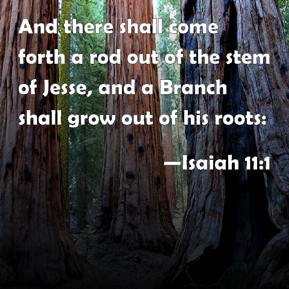 Isaiah 111 And there shall come forth a rod out of the stem of Jesse