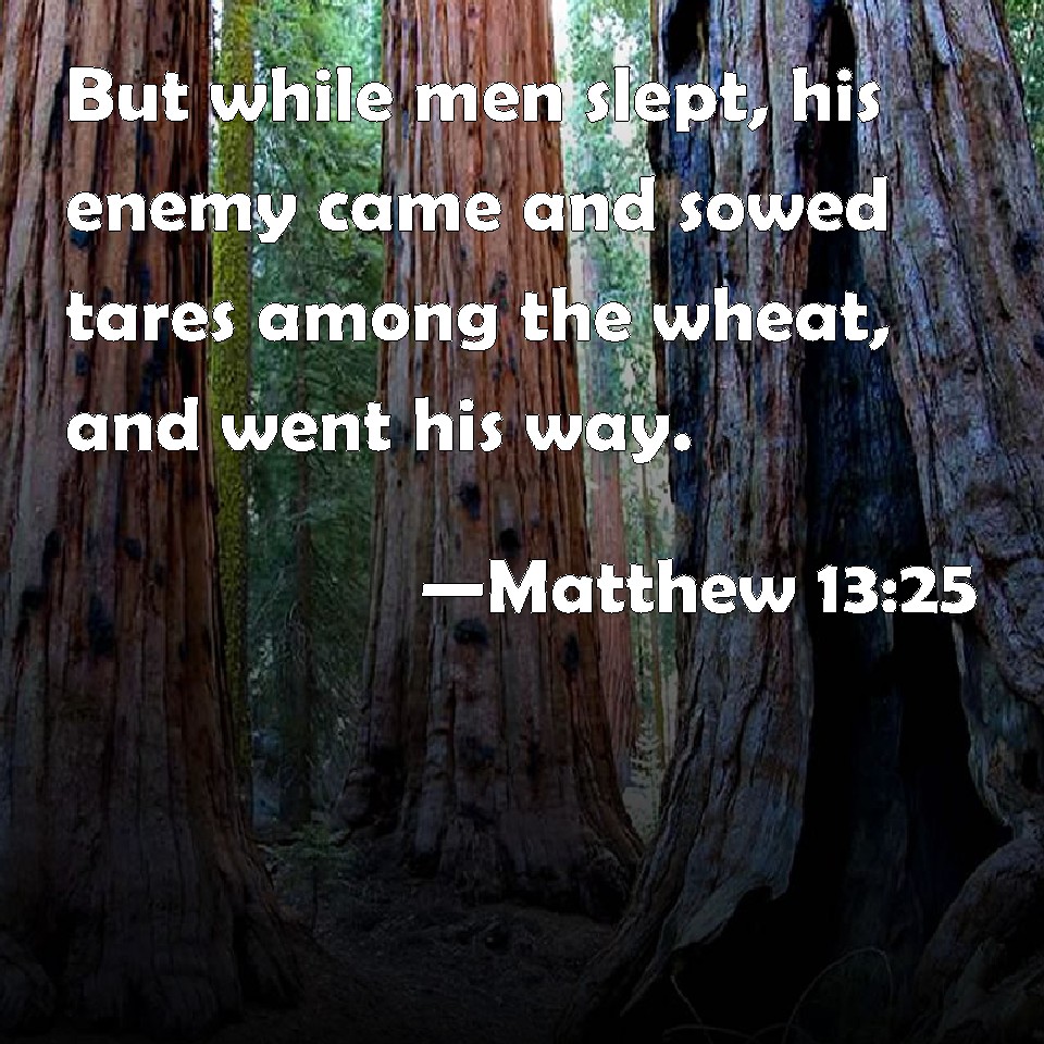 Matthew 1325 But while men slept, his enemy came and sowed tares among