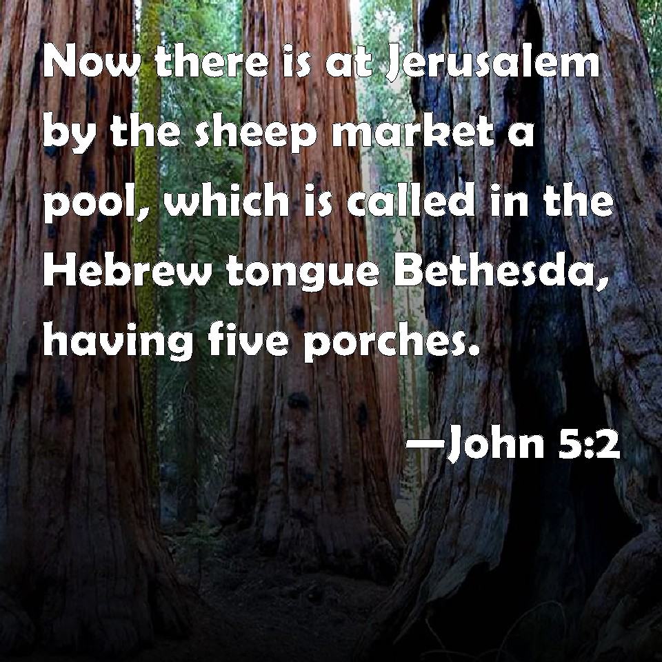John 52 Now there is at Jerusalem by the sheep market a pool, which is