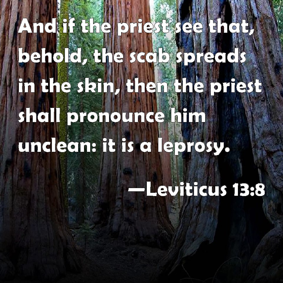 Leviticus 138 And if the priest see that, behold, the scab spreads in