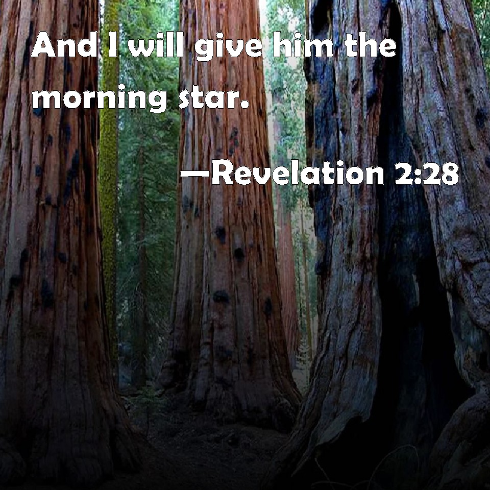 Revelation 228 And I will give him the morning star.