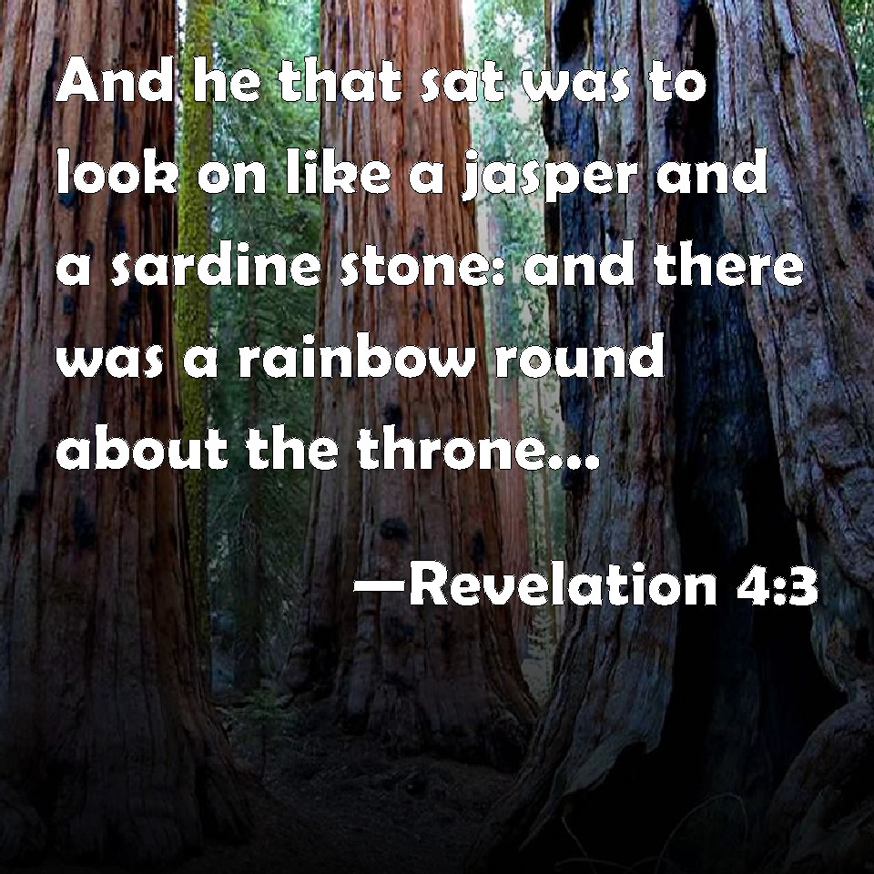 Revelation 43 And he that sat was to look on like a jasper and a
