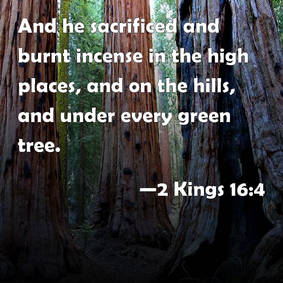 2 Kings 164 And he sacrificed and burnt incense in the high places