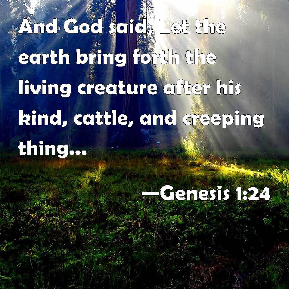 Genesis 124 And God said, Let the earth bring forth the living