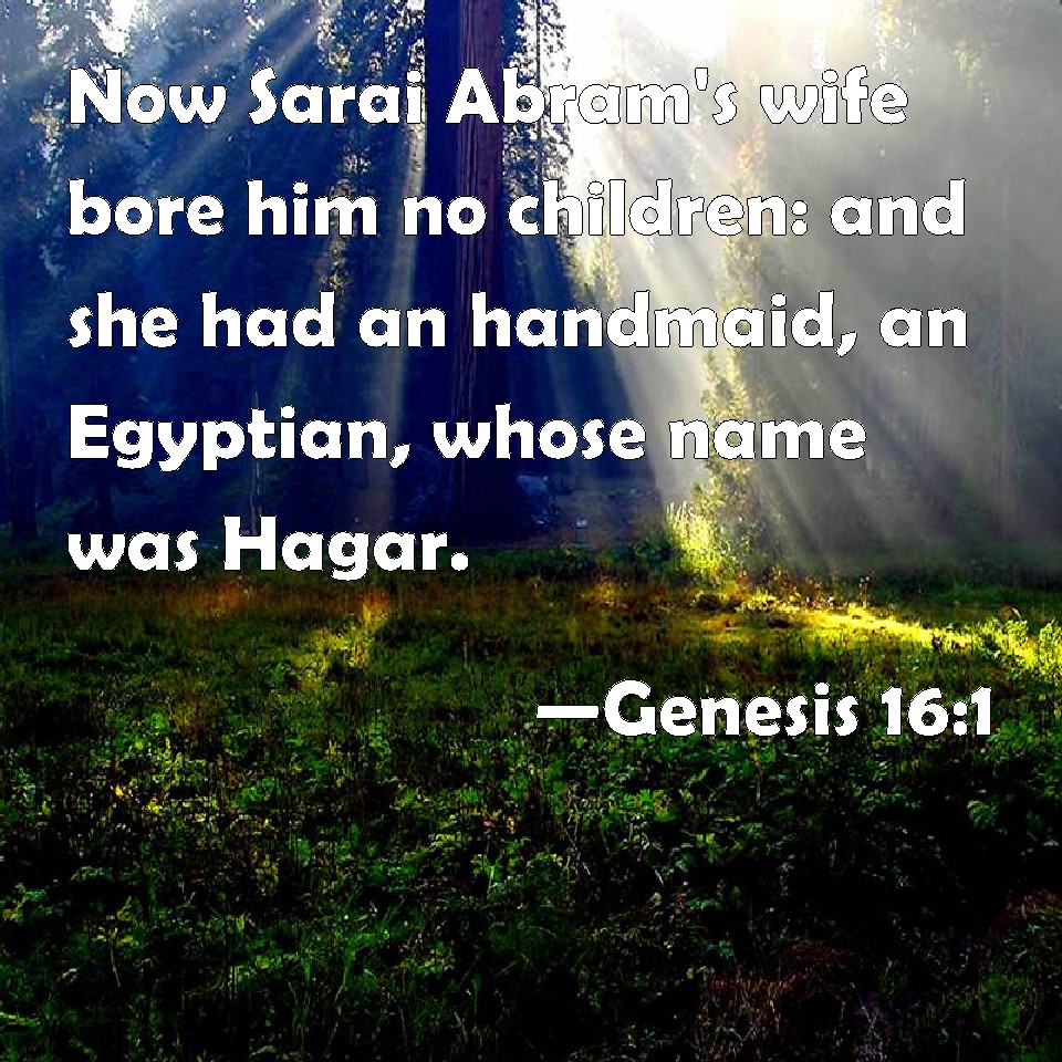 Genesis 161 Now Sarai Abram's wife bore him no children and she had
