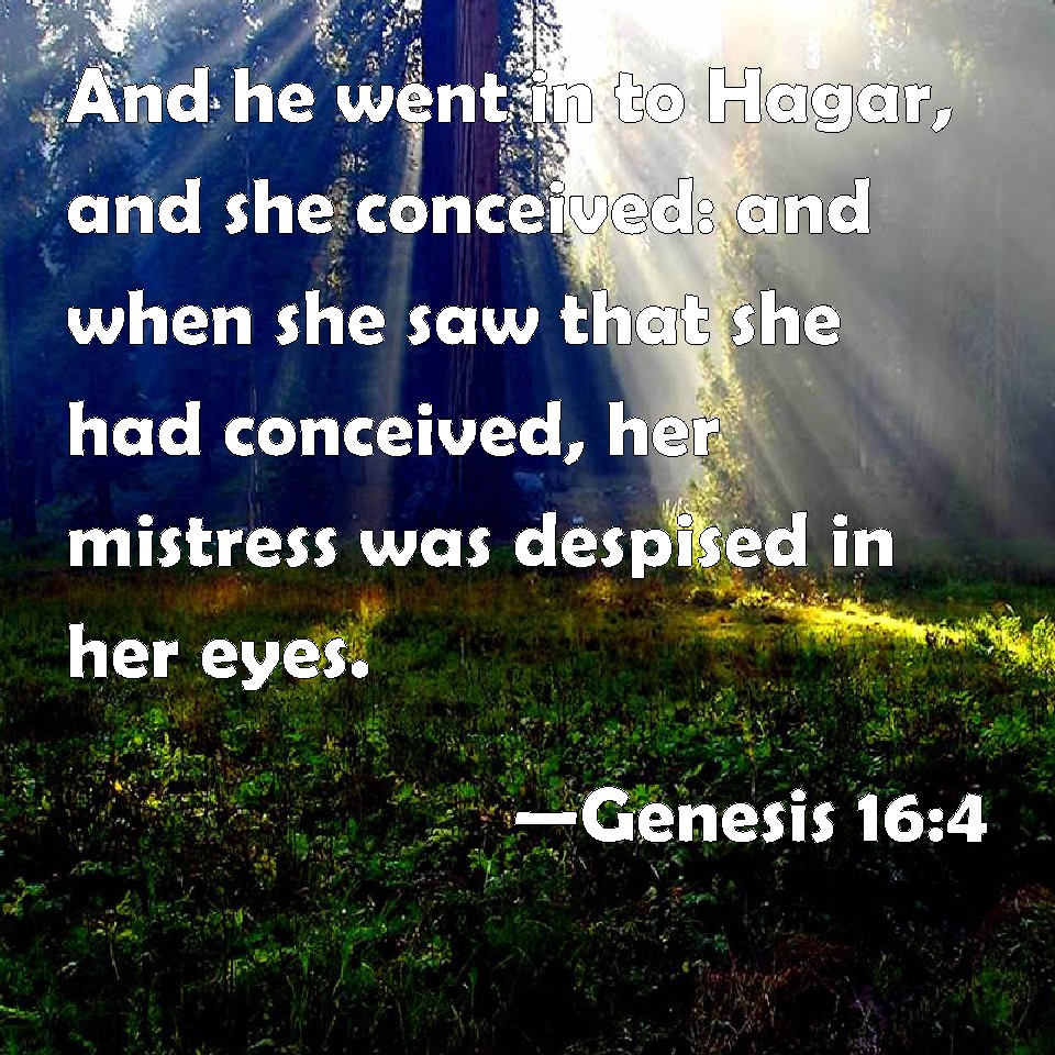 Genesis 164 And he went in to Hagar, and she conceived and when she