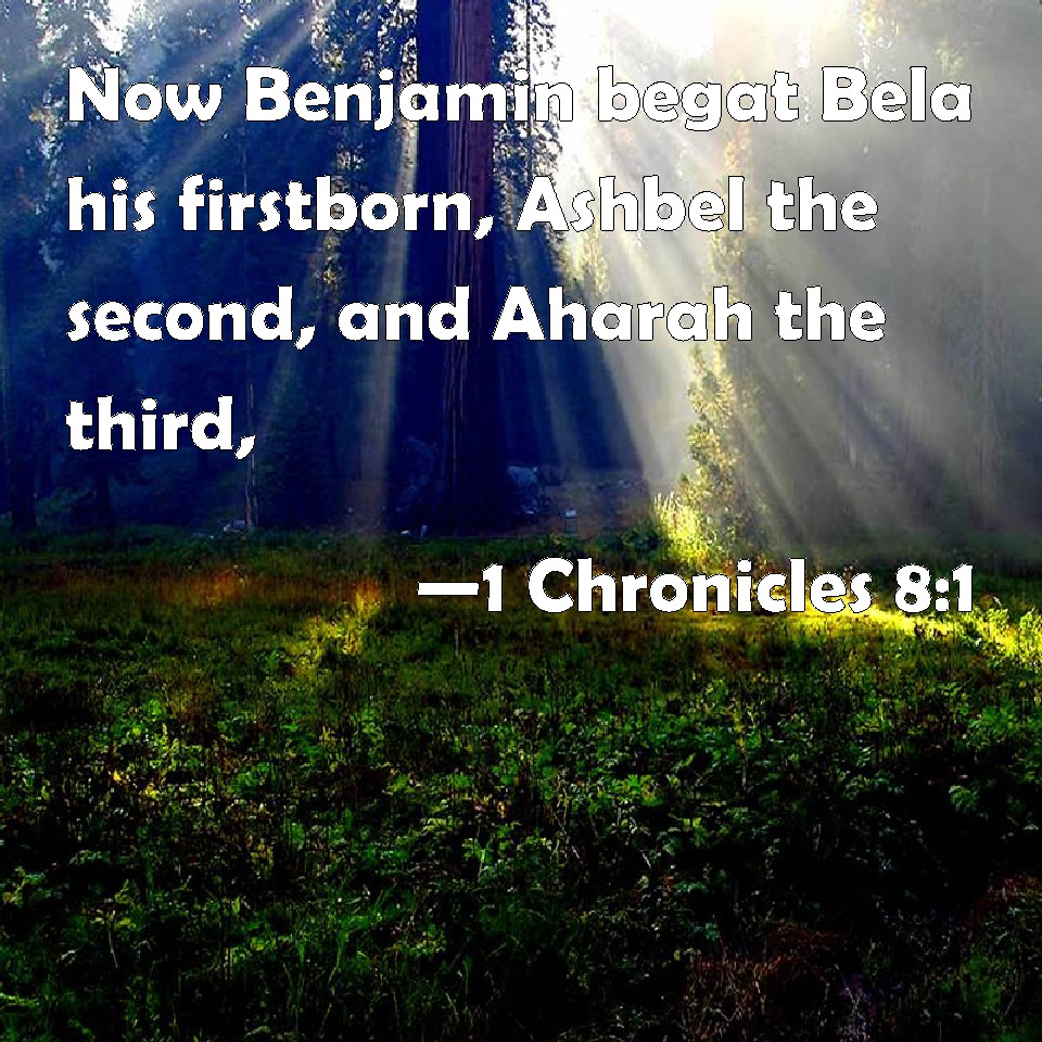 1 Chronicles 81 Now Benjamin begat Bela his firstborn, Ashbel the