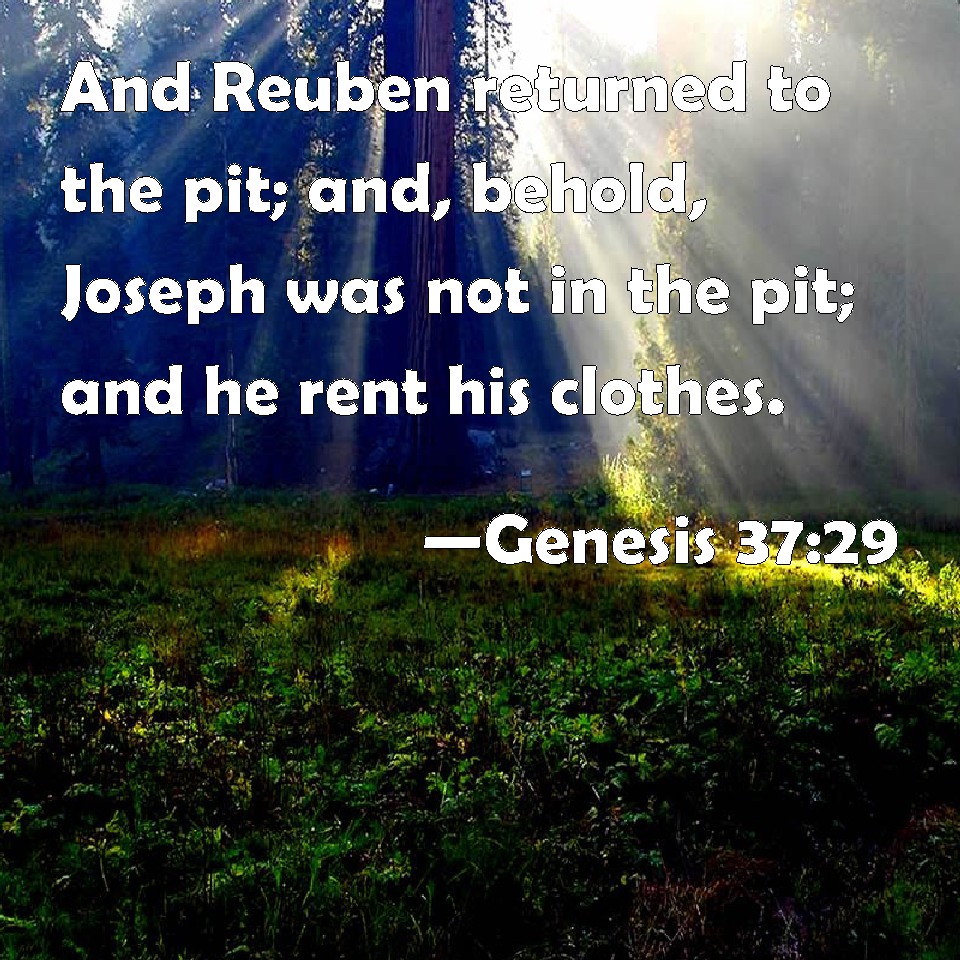 Genesis 3729 And Reuben returned to the pit; and, behold, Joseph was