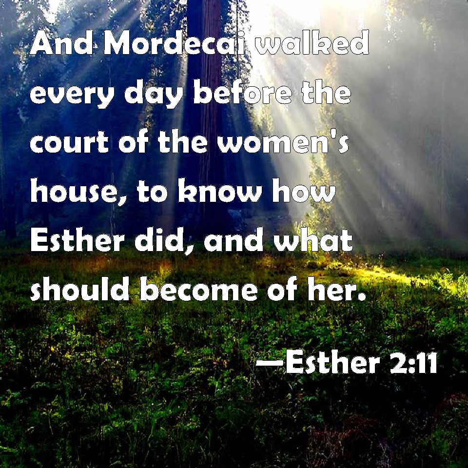 Esther 211 And Mordecai walked every day before the court of the women