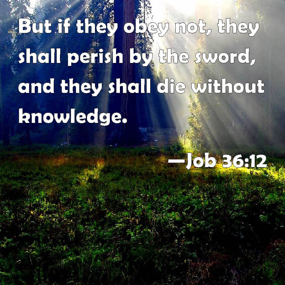 Job 3612 But if they obey not, they shall perish by the sword, and