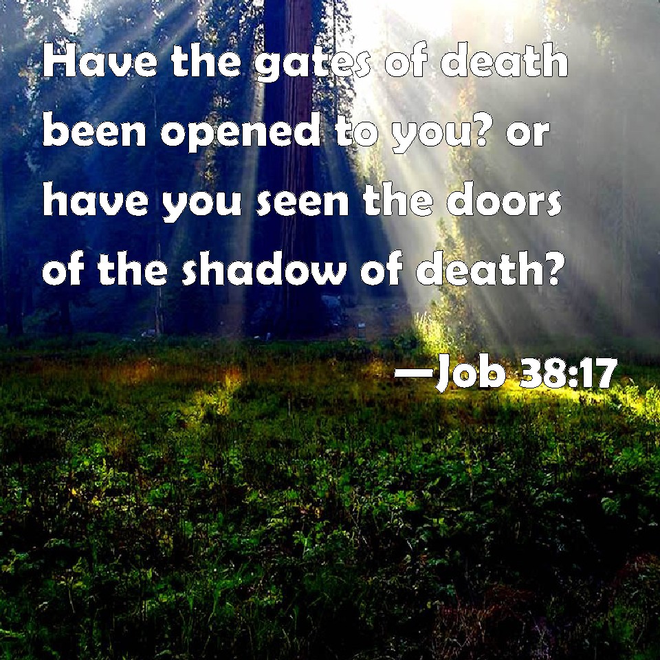 Job 3817 Have the gates of death been opened to you? or have you seen