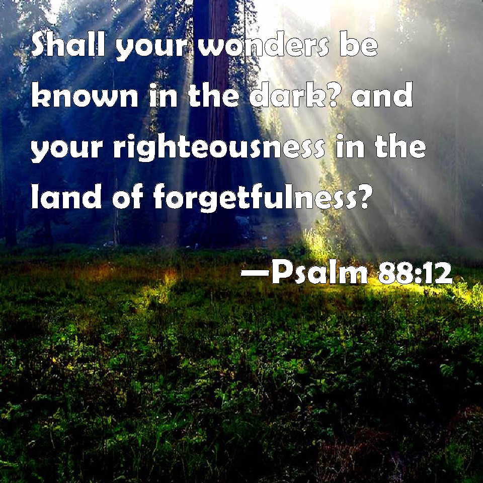 Psalm 8812 Shall your wonders be known in the dark? and your