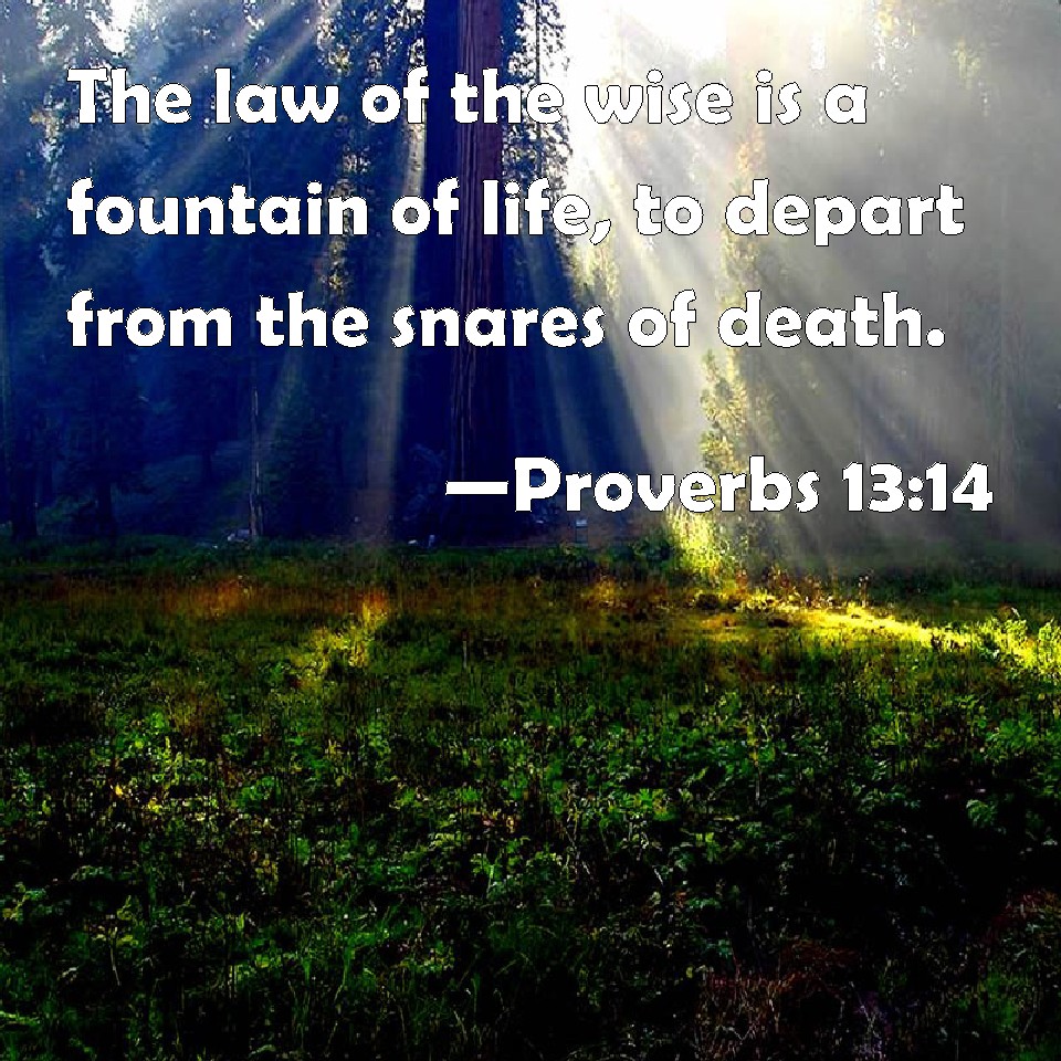 Proverbs 1314 The law of the wise is a fountain of life, to depart