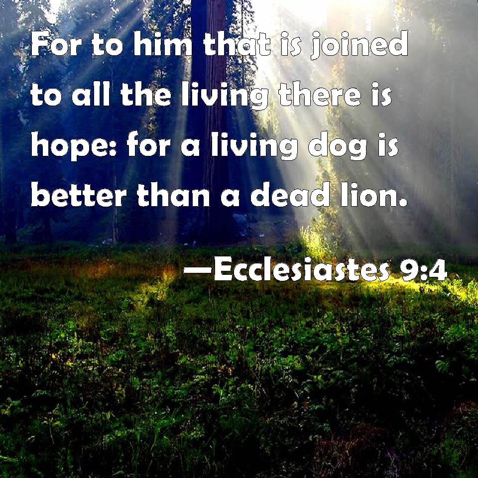 Ecclesiastes 94 For to him that is joined to all the