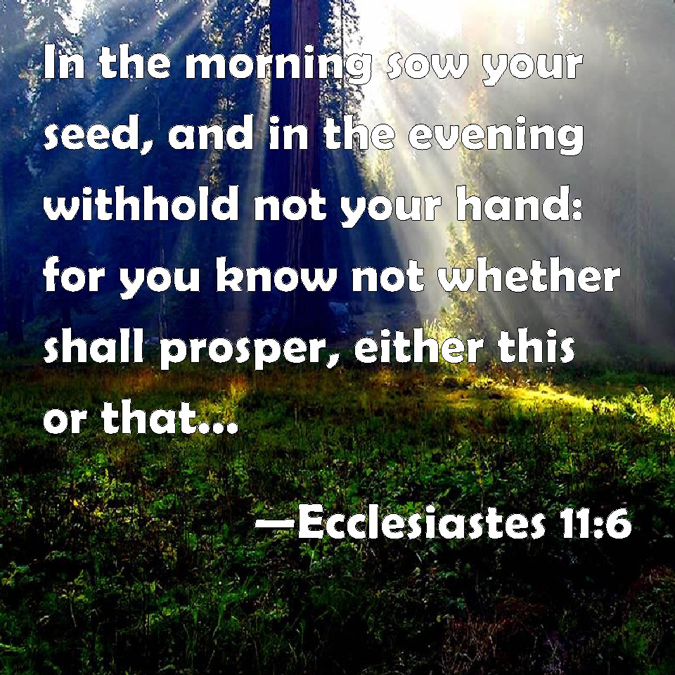 Ecclesiastes 116 In the morning sow your seed, and in the evening