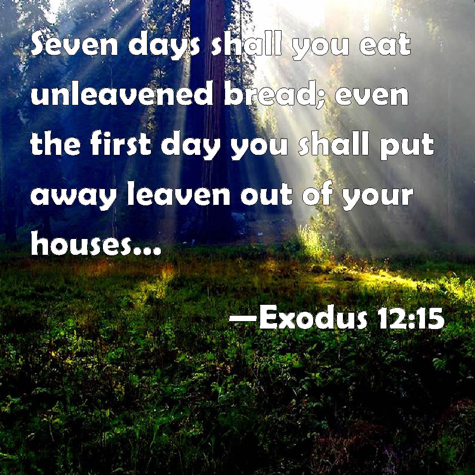 Exodus 1215 Seven days shall you eat unleavened bread; even the first
