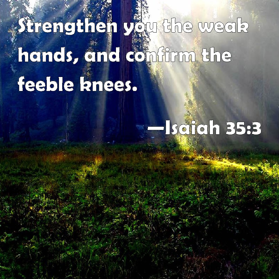 Isaiah 353 Strengthen you the weak hands, and confirm the feeble knees.