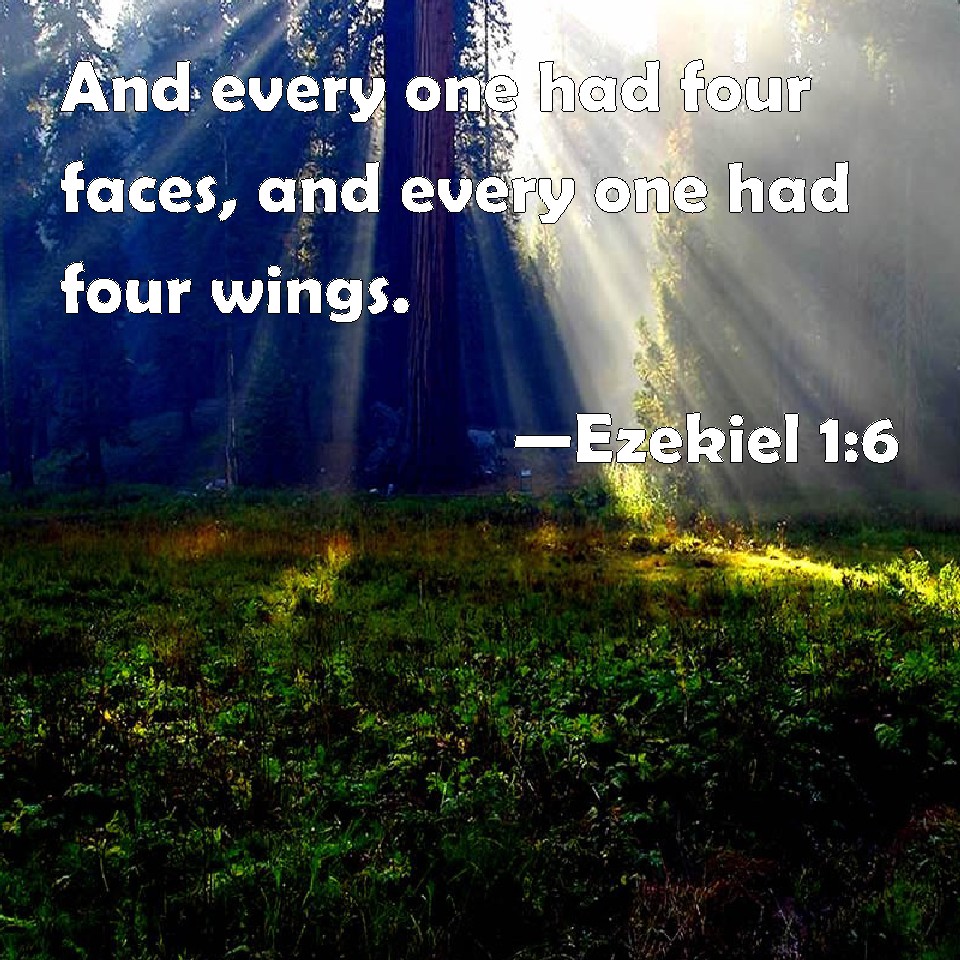 Ezekiel 16 And every one had four faces, and every one had four wings.