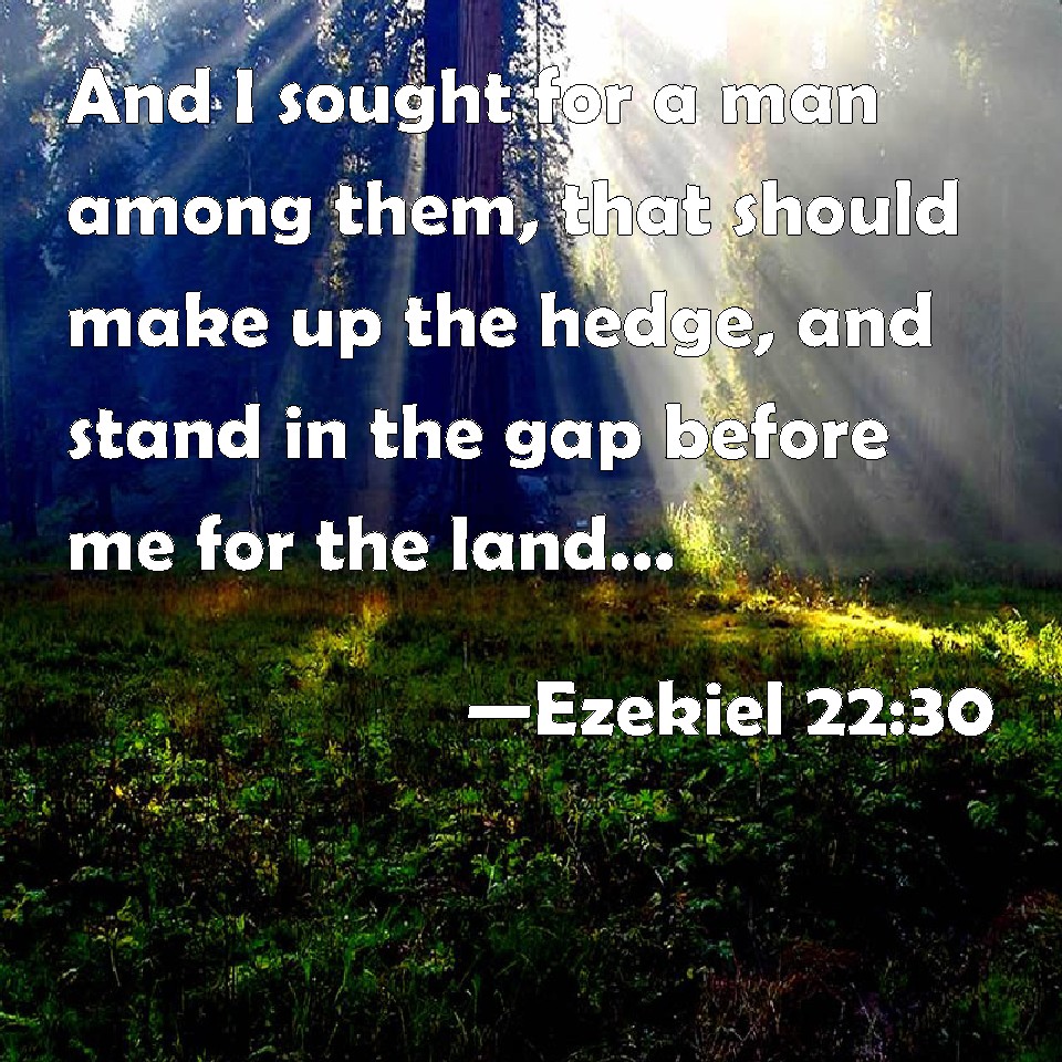 Ezekiel 2230 And I sought for a man among them, that should make up