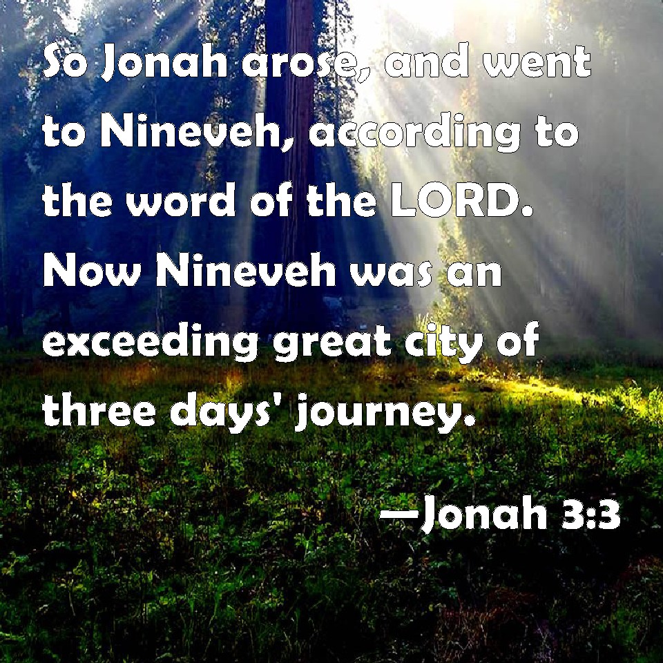 Jonah 33 So Jonah arose, and went to Nineveh, according to the word of