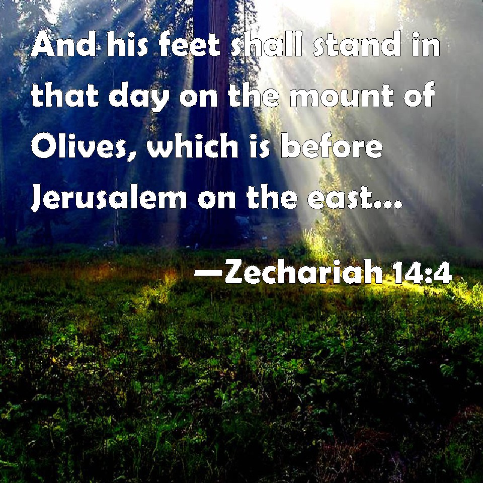 Zechariah 144 And his feet shall stand in that day on the mount of