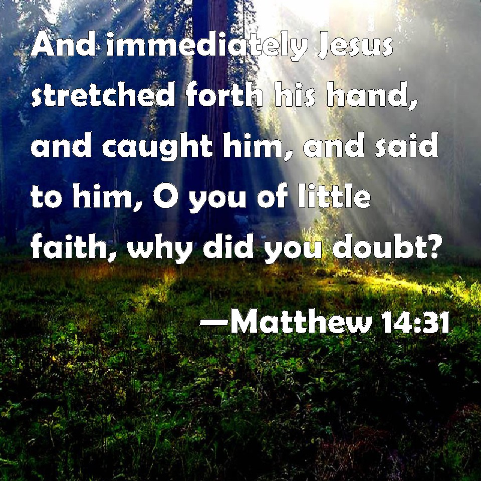 Matthew 1431 And immediately Jesus stretched forth his hand, and