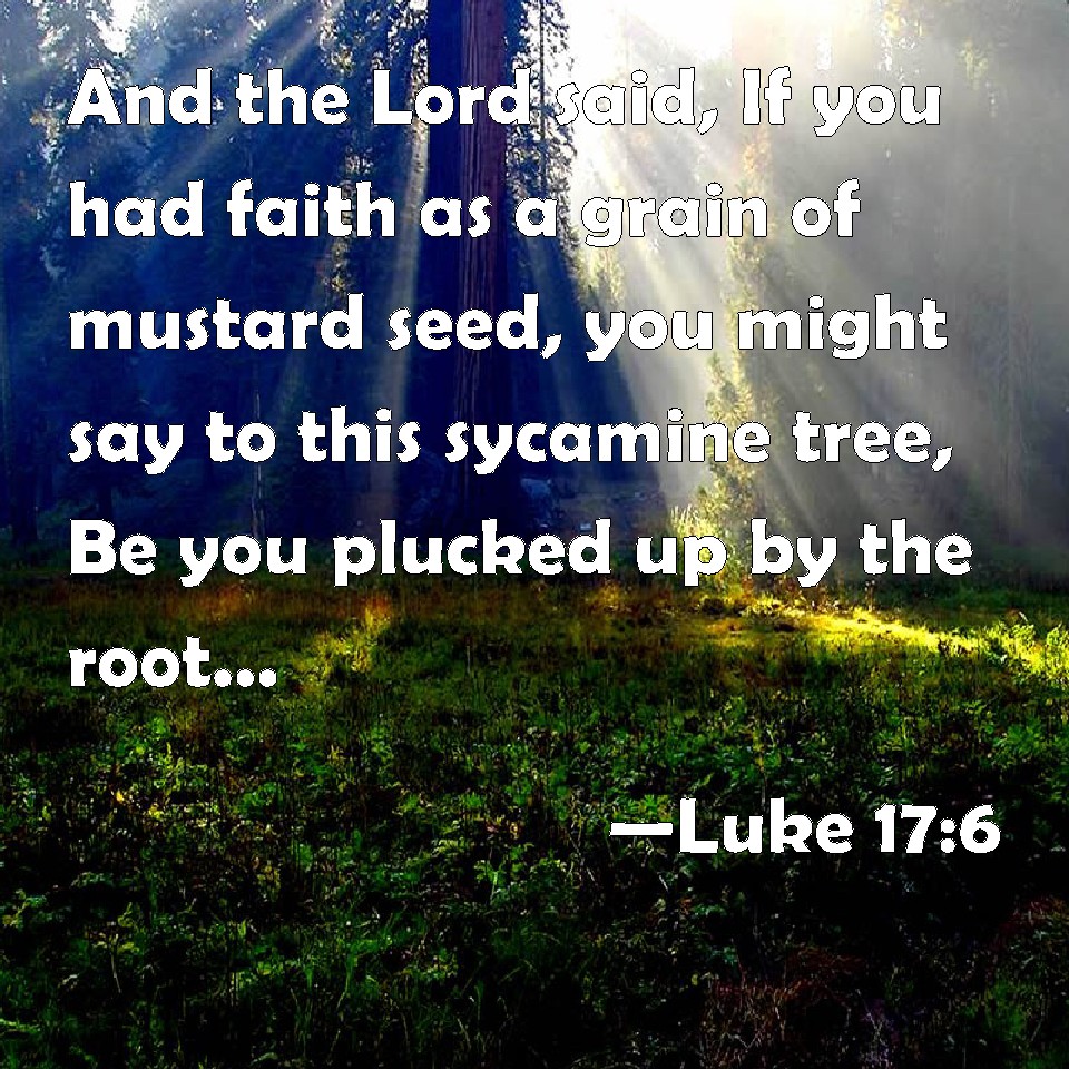 Luke 176 And the Lord said, If you had faith as a grain of mustard