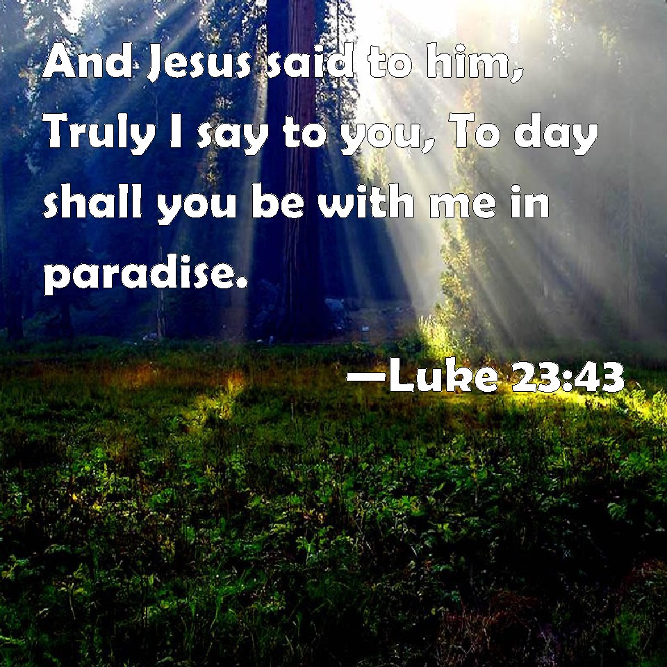 Luke 2343 And Jesus said to him, Truly I say to you, To day shall you