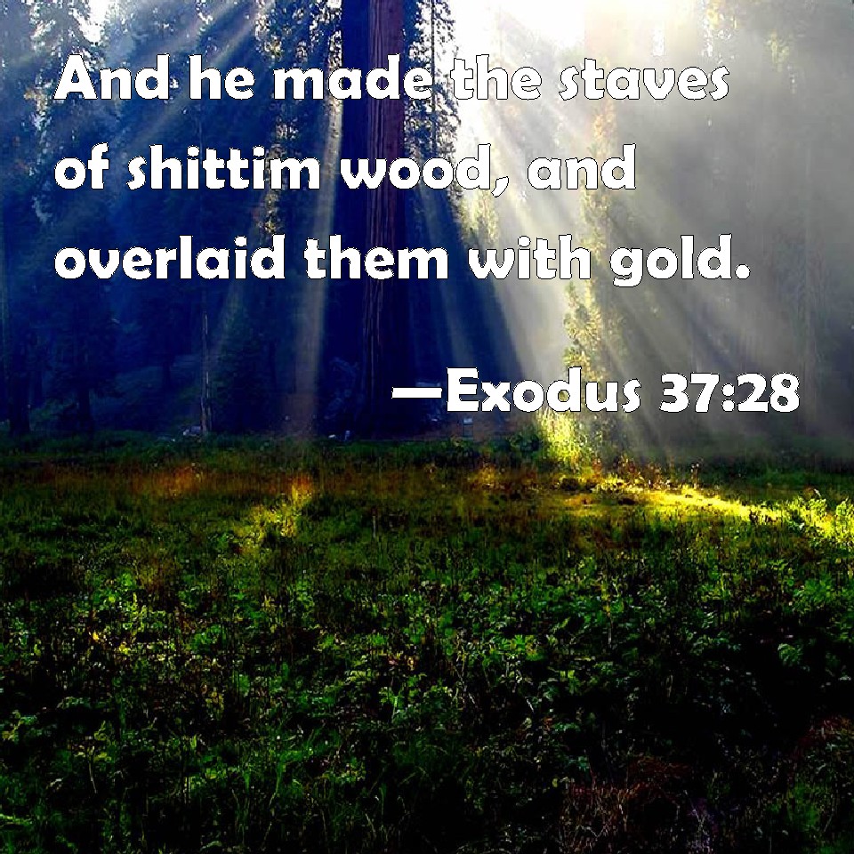 Exodus 3728 And he made the staves of shittim wood, and overlaid them