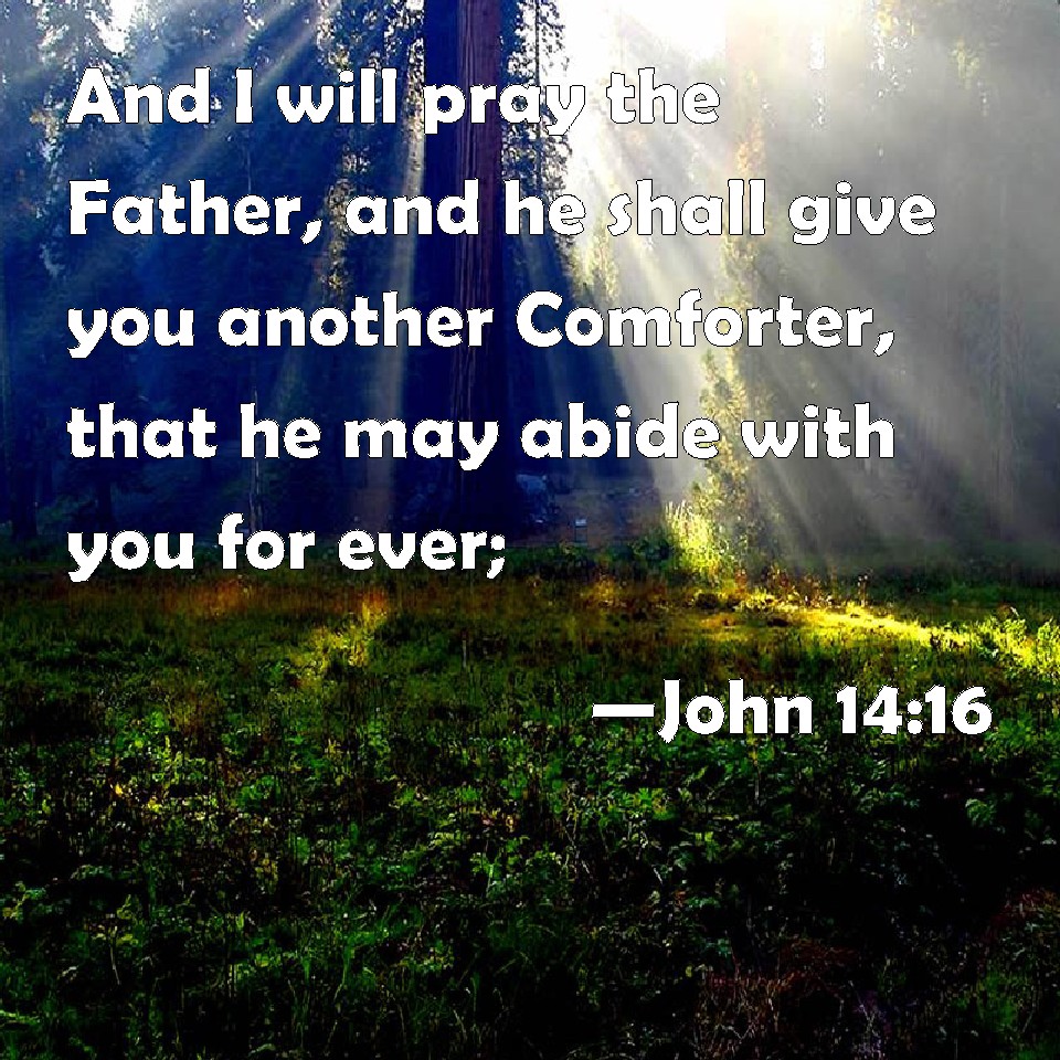 John 1416 And I will pray the Father, and he shall give you another