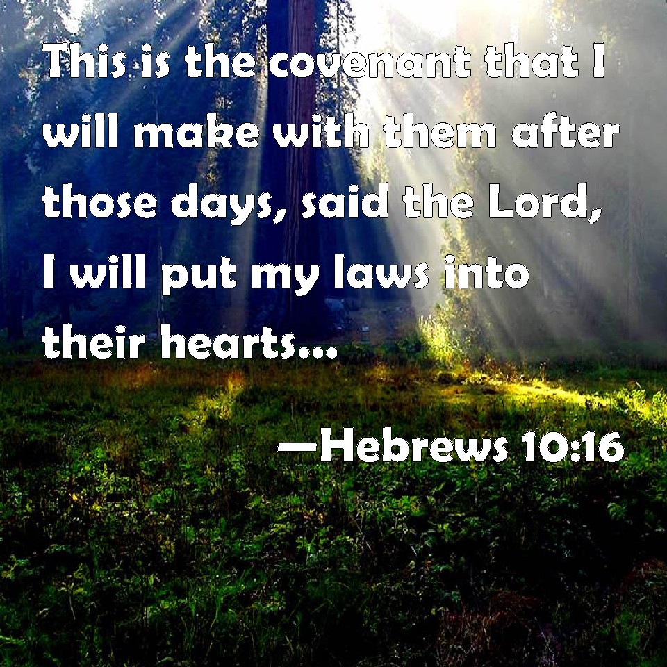 Hebrews 1016 This is the covenant that I will make with them after