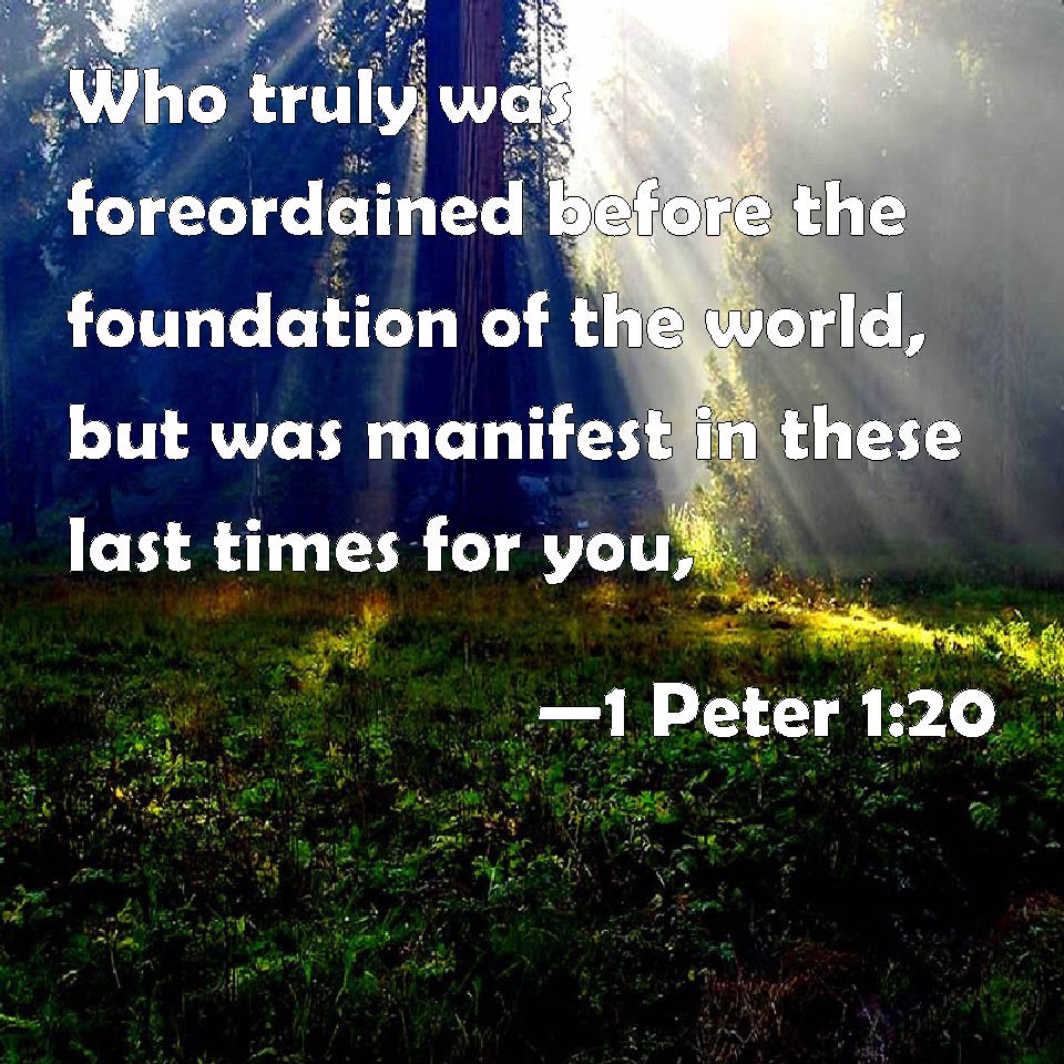 1 Peter 120 Who truly was foreordained before the foundation of the