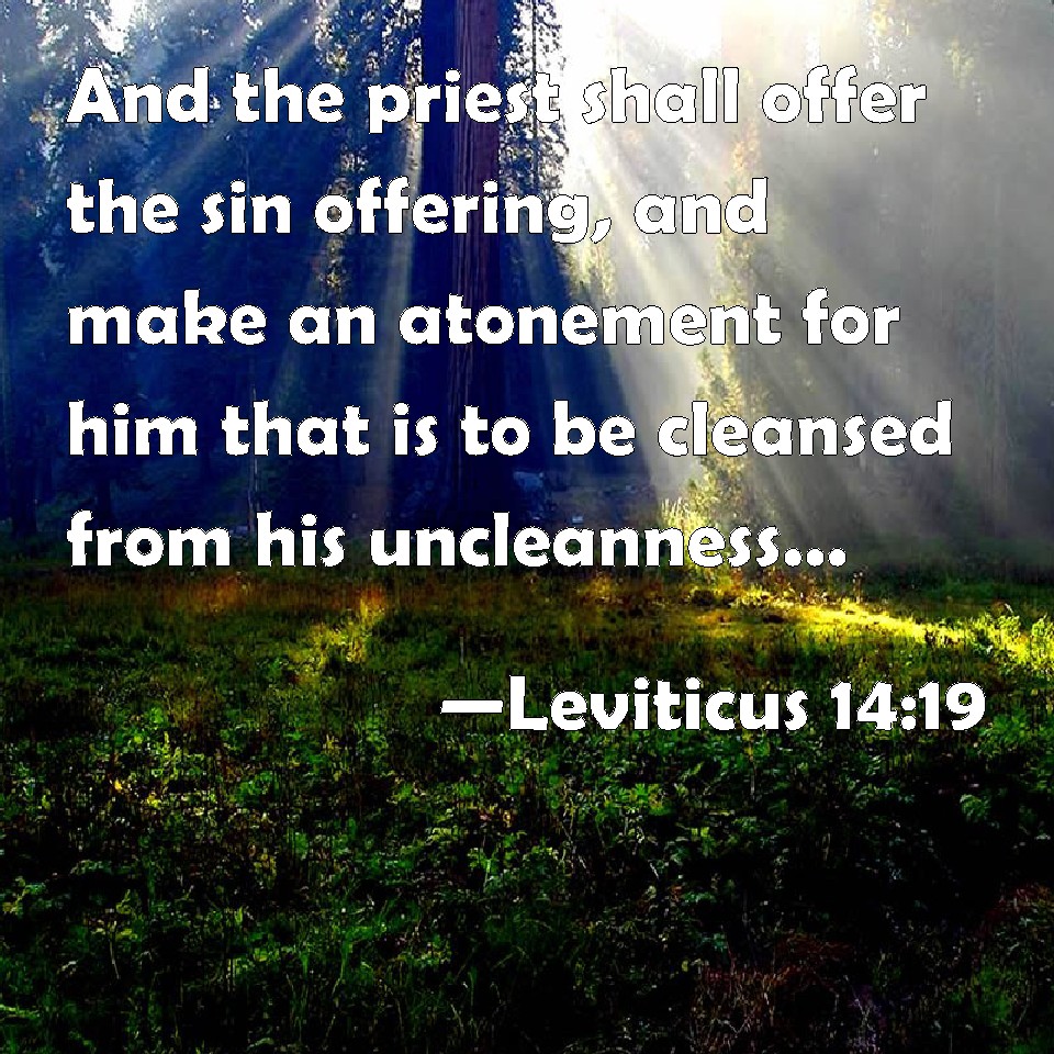 Leviticus 1419 And the priest shall offer the sin offering, and make