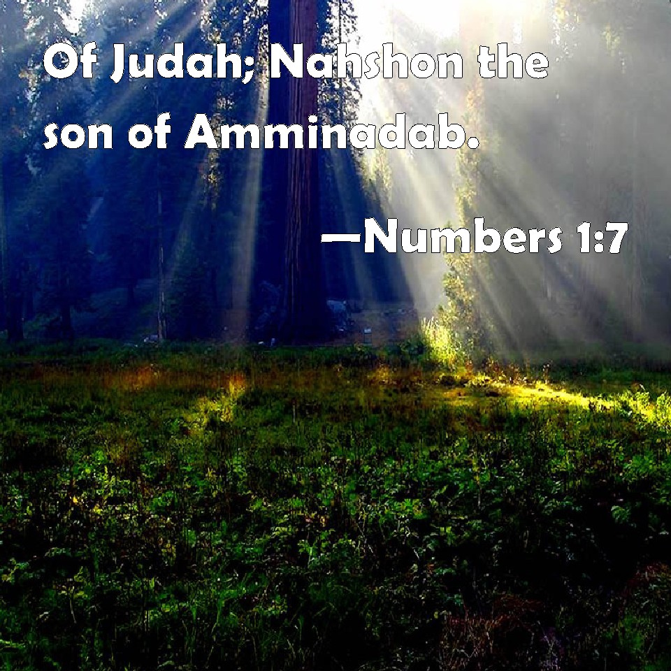 Numbers 17 Of Judah; Nahshon the son of Amminadab.