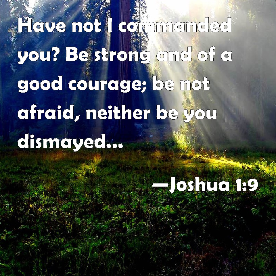 Joshua 19 Have not I commanded you? Be strong and of a good courage; be not afraid, neither be