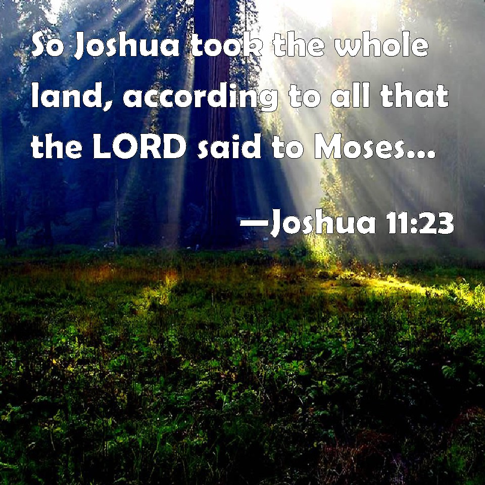 Hearst Inherited The Land From His at William Rosales blog