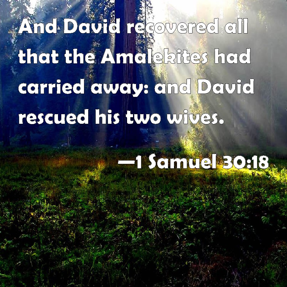 1 Samuel 3018 And David recovered all that the Amalekites had carried