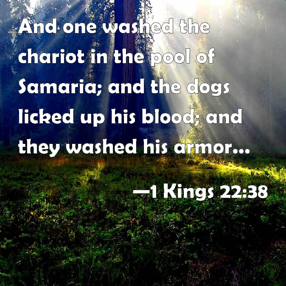 1 Kings 2238 And one washed the chariot in the pool of Samaria; and