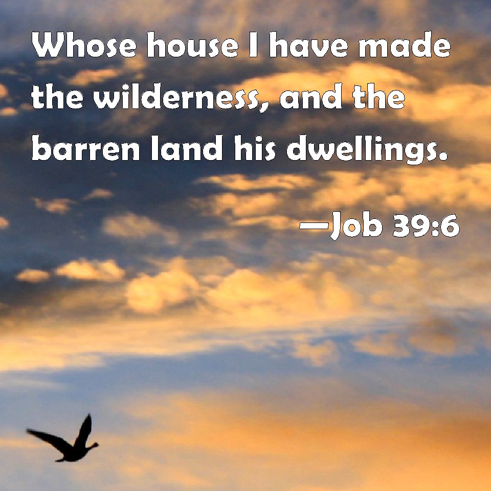 Job 396 Whose house I have made the wilderness, and the barren land