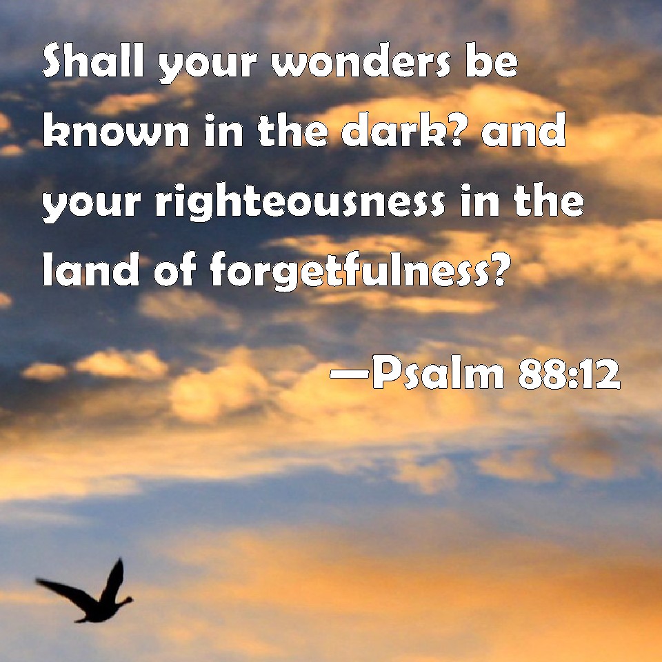 Psalm 8812 Shall your wonders be known in the dark? and your