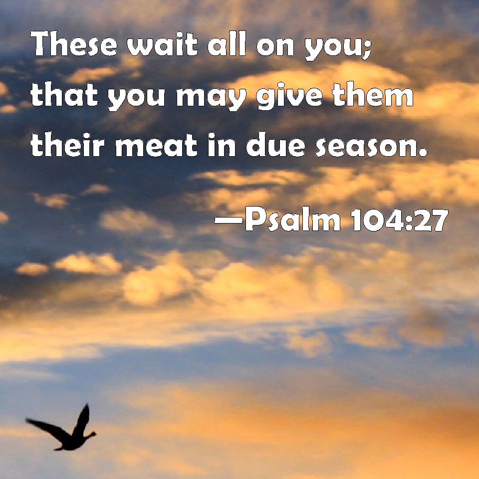 Psalm 10427 These wait all on you; that you may give them their meat