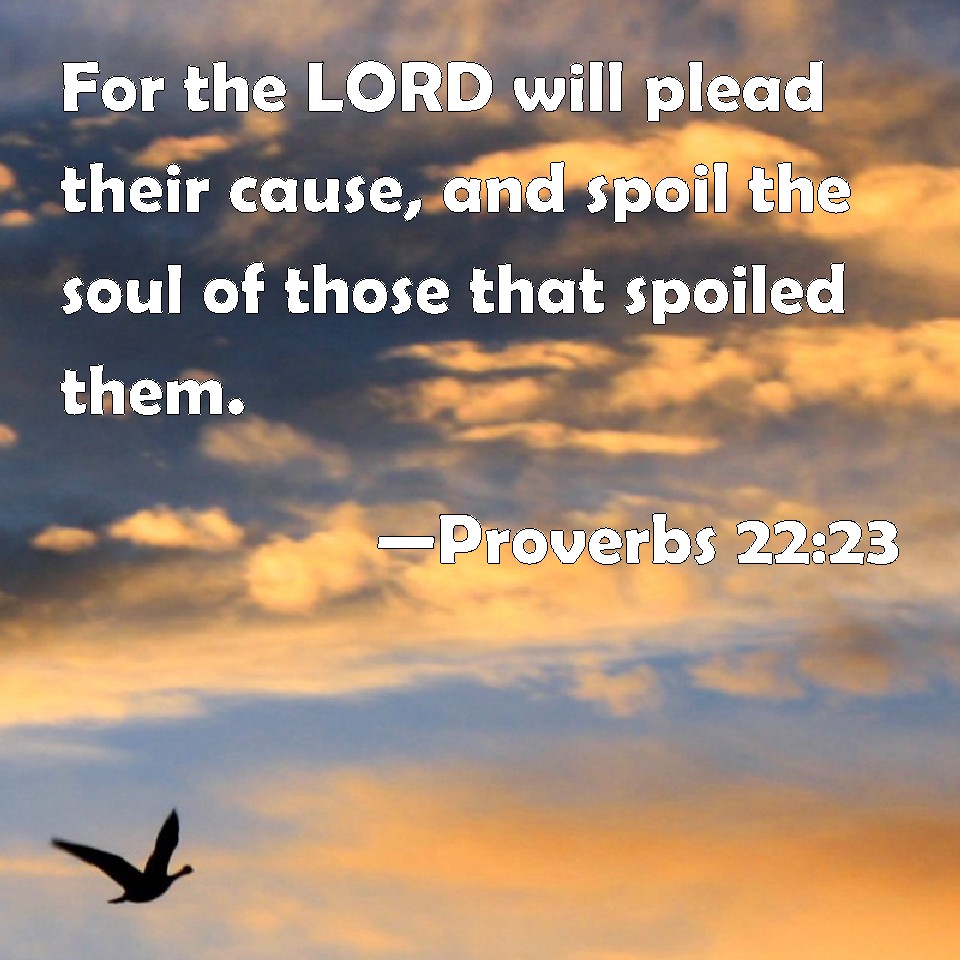 Proverbs 2223 For the LORD will plead their cause, and spoil the soul