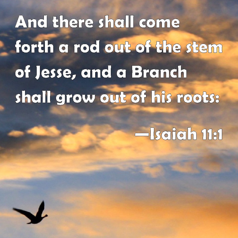 Isaiah 111 And there shall come forth a rod out of the stem of Jesse
