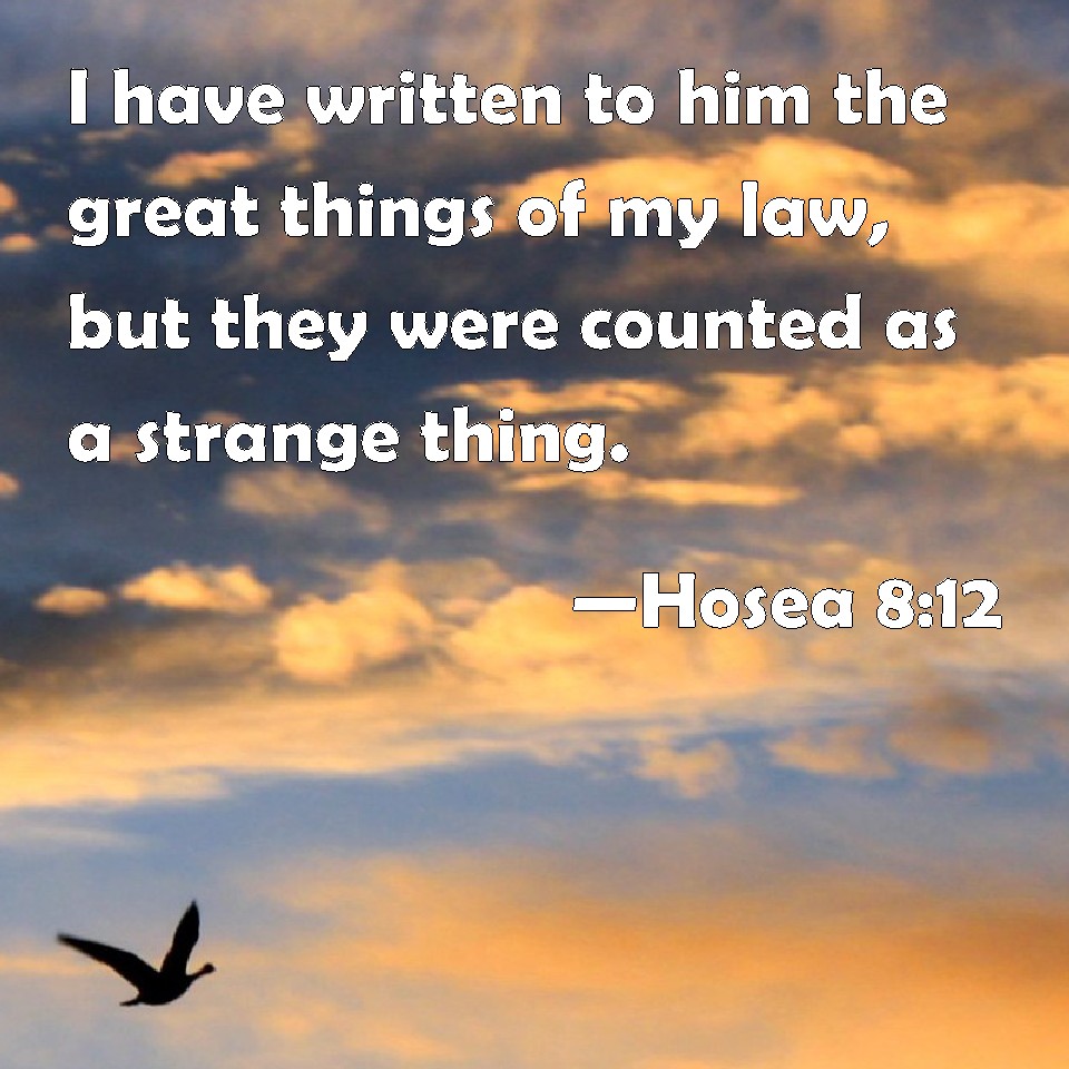 Hosea 812 I have written to him the great things of my law, but they