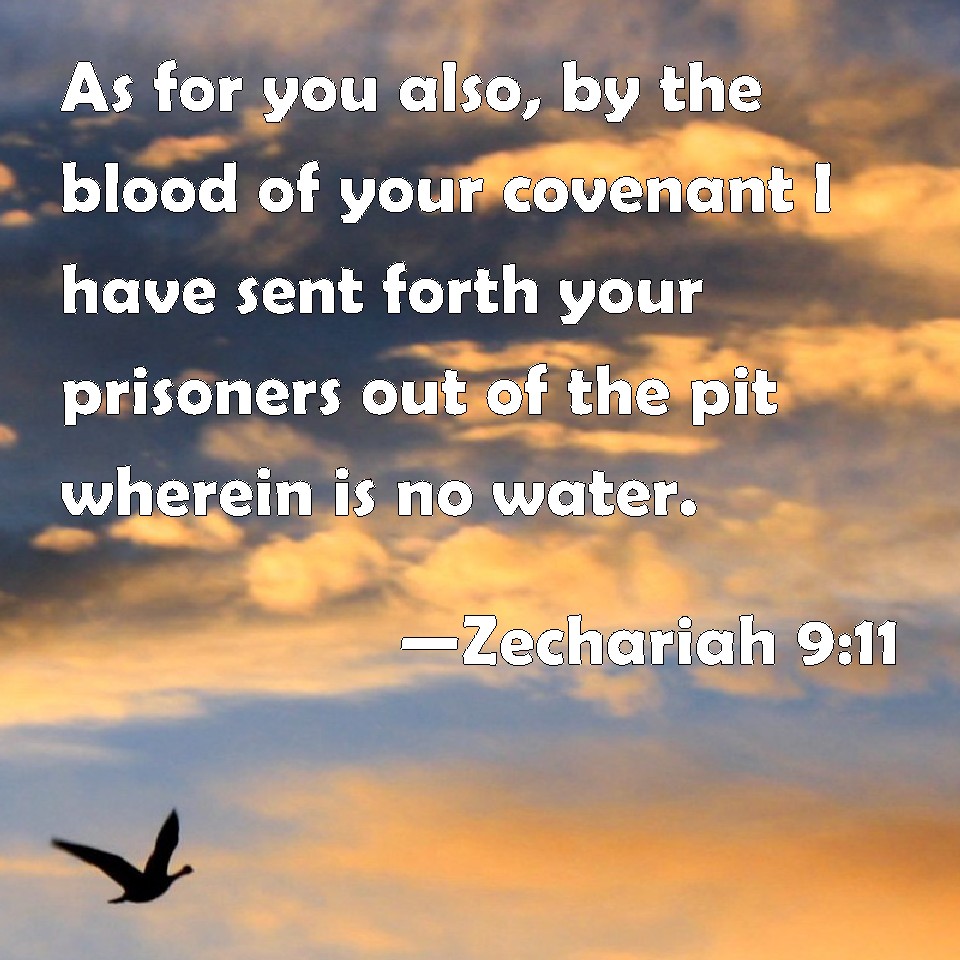 Zechariah 911 As for you also, by the blood of your covenant I have
