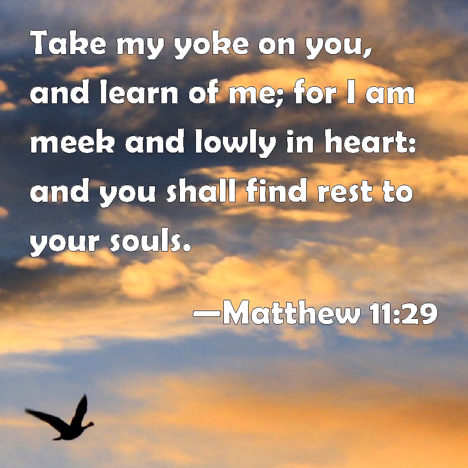 Matthew 1129 Take my yoke on you, and learn of me; for I am meek and