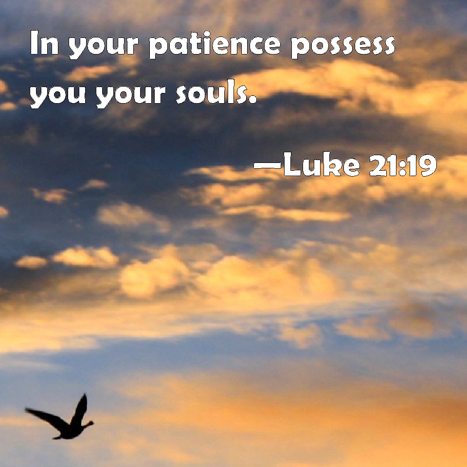 Luke 2119 In your patience possess you your souls.