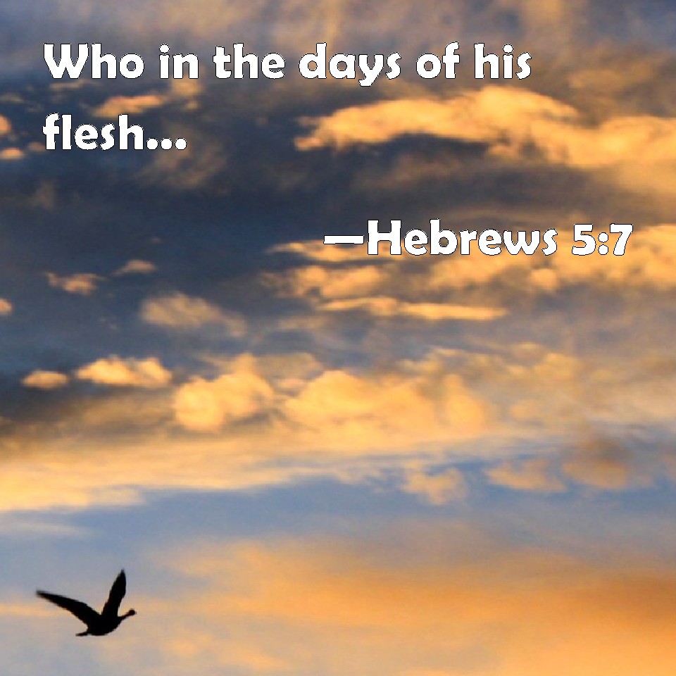 Hebrews 57 Who in the days of his flesh, when he had offered up