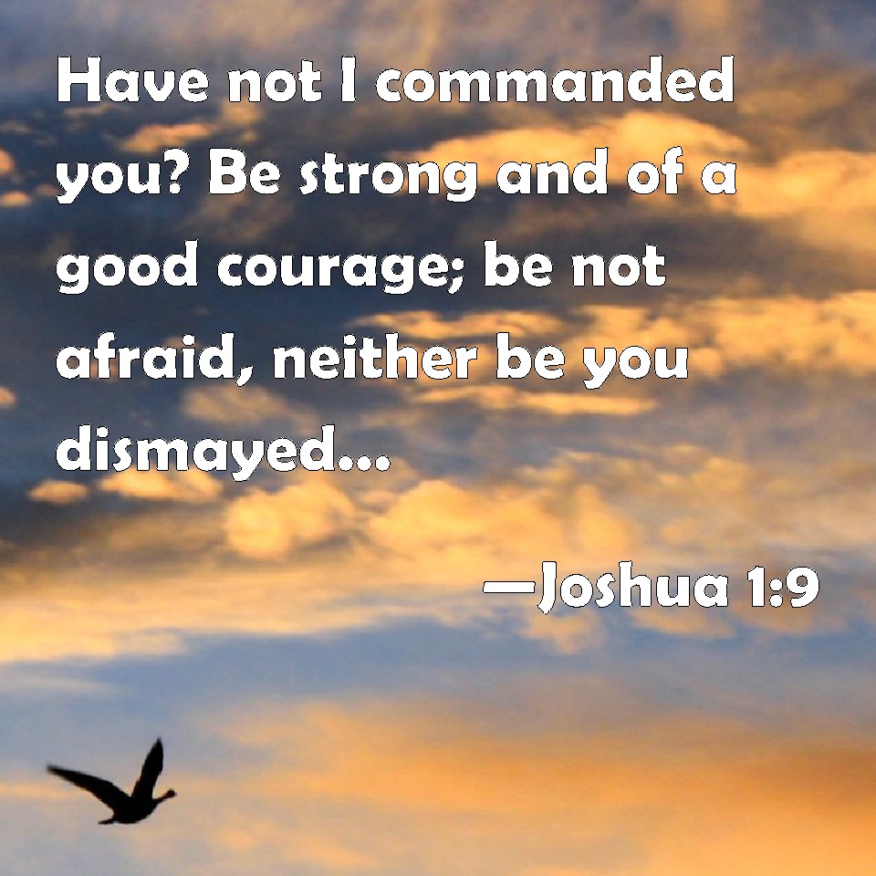 Joshua 19 Have not I commanded you? Be strong and of a good courage; be not afraid, neither be